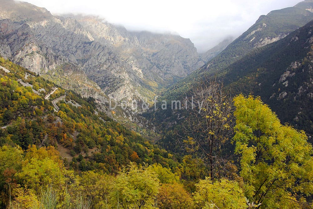 Dog and family a la vall de Ribes