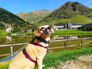 BUTI & GEMMA Y DANIEL