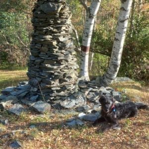 ROC & ALBERT & FAMILY