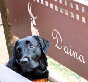 DAINA & MAYTE Y FAMILY