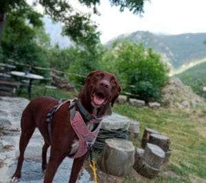 KALA Y NINA & MONTSE & FAMILY