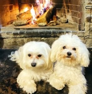 TOMMI Y DENVER & YOLANDA  & FAMILY