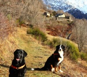 DAINA Y DANA & MAYTE Y JORDI