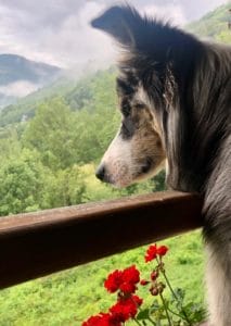 SNATCH Y RAQUEL & FAMILY