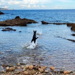 KIRA & MARINA I EDGAR