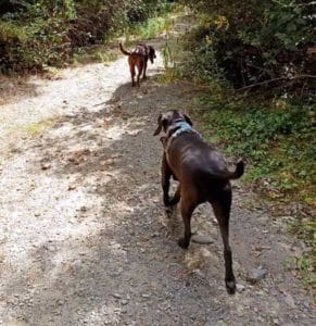 KALA I NINA & MONTSE