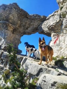  BIG, YEIKO, ASHA & JUDIT I SARAY 