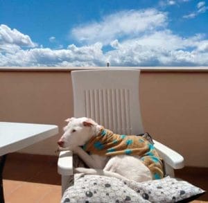  NINA & LAURA I ROGER