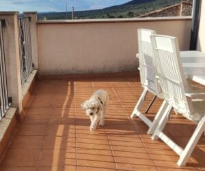 ALMA & PATRI Y FAMILY