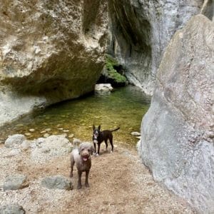 BULMA I KAI & LORENA & FAMILY 