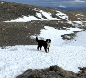 MILA & INGRID & FAMILY