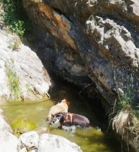 DAM, ROMMEL I AMANDA & FAMILY