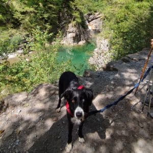 RITA I MONTSE & FAMILY