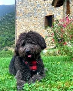 MIK & MARIA I ALBERT