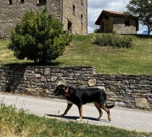 TONI I ITA I LES NOSTRES GOSSETES KENIA I MARLA