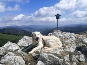 GLÒRIA I ALAN & MENTA