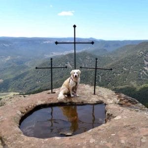 MENTA & GLÒRIA I ALAN