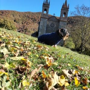 COFFE Y HIMAWARI & SÍLVIA Y FAMILY