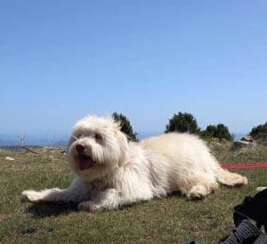 NALA & MARTA & FAMILY 