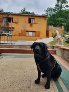 COOPER & CARMEN I DANI