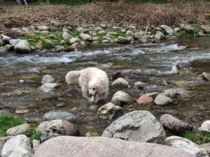 CANA & ALICIA & FAMILY