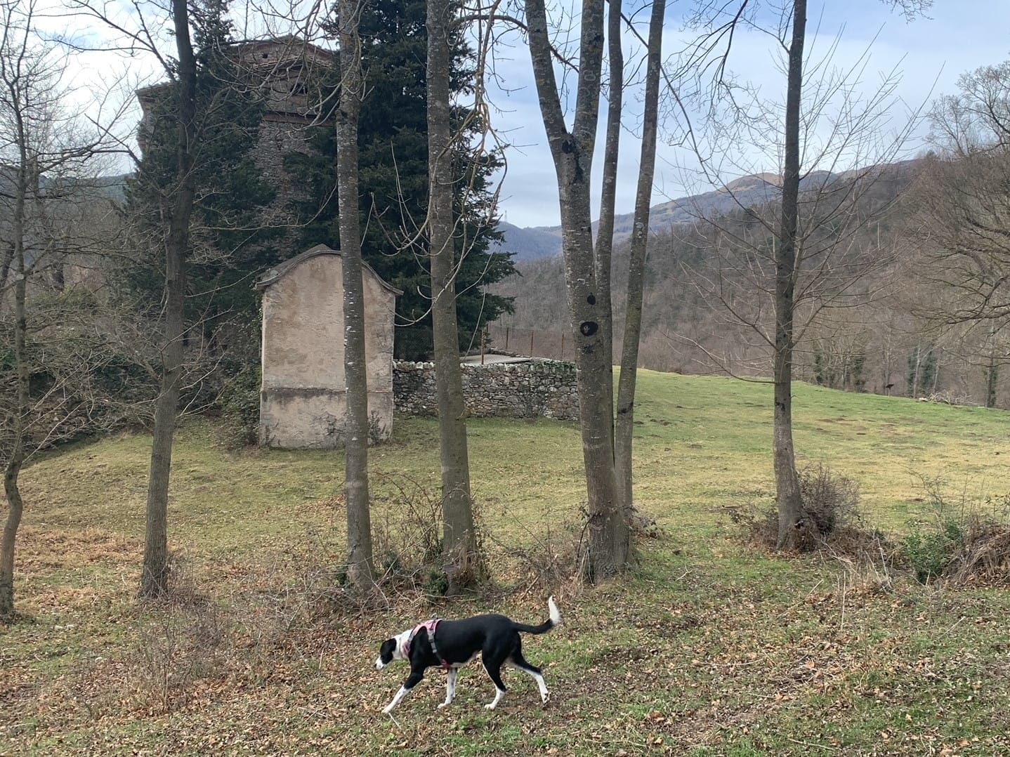 BOIRA Y DANI & FAMILY