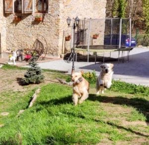 LOLA & MERCEDES I TOMÁS