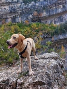 CADI & MONTSE & FAMILY