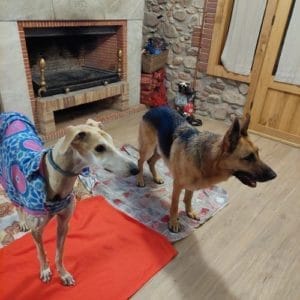 YEIKO I NAIM & JUDIT & FAMILY