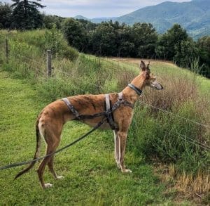 NORA Y ELENA & FAMILY