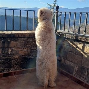 NALA & MARTA & FAMILY