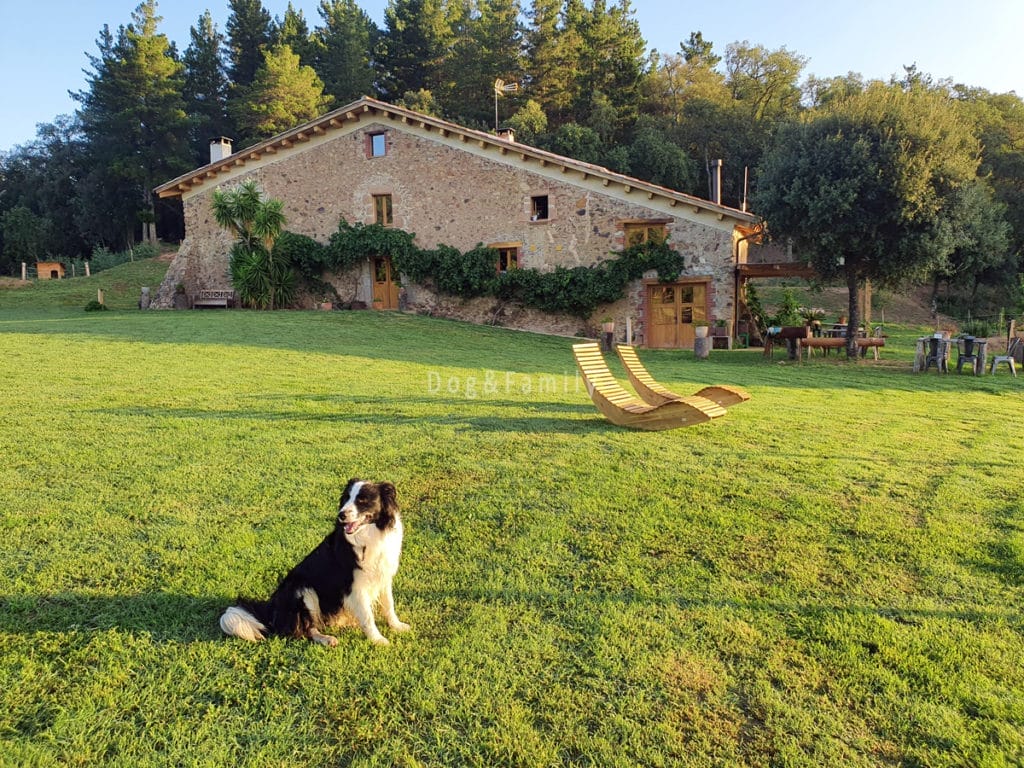 Vistes de la Paradella, un acollidor loft rural en mig del bosc al Montseny - Dog & Family