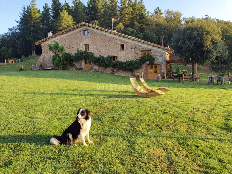 Vistes de la Paradella, un acollidor loft rural en mig del bosc al Montseny - Dog & Family
