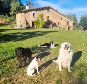 MAGNUM & ANNA & FAMILY 