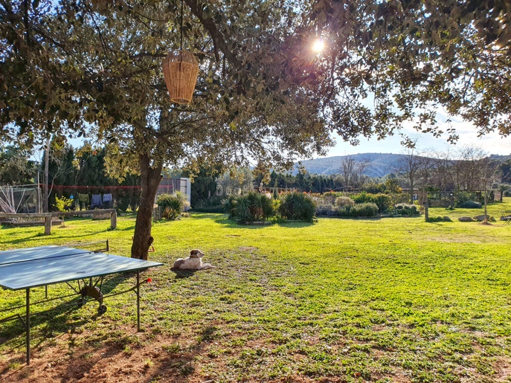 Allotjament amb jardí tancat per una escapada a l'Empordà amb gossos