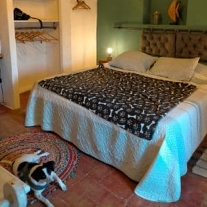 MINI Y KIWI & ANNA & FAMILY 