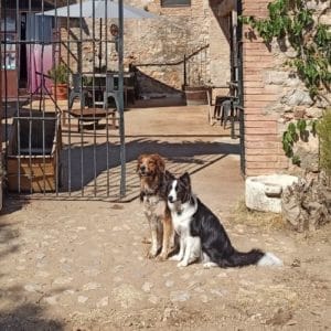 TOMI, MASHA, SKY Y LIA & MONTSE & FAMILY