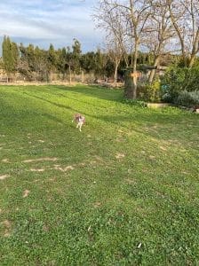 LARA & CRISTIANA & FAMILY