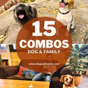 NOVETAT!! 2n VOLUM GUIA DIGITAL 15 COMBOS DOG & FAMILY