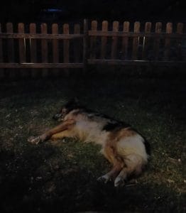 KENYA & SARAY Y SILVIA