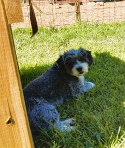 CUCA Y LOLA & LIDIA Y FAMILY