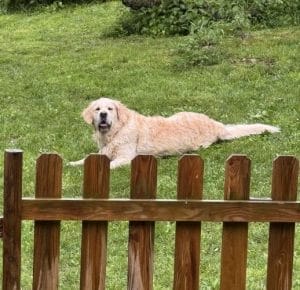 MAX Y CARMEN & FAMILY