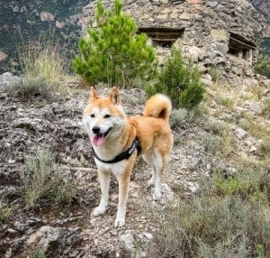 MUXU & MARIA Y RAMON