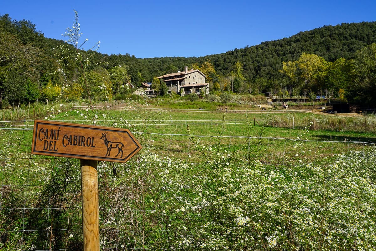 Vista dels camps de Mas Campassol, a la Garrotxa