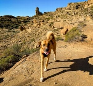 MISSOU Y NÚRIA & FAMILY