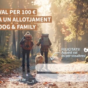 Targeta regal 100 € (model 2)