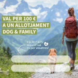 Targeta regal 100 € (model 1)