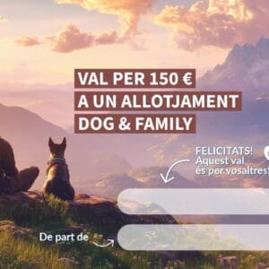 Targeta regal 150 € (model 2)