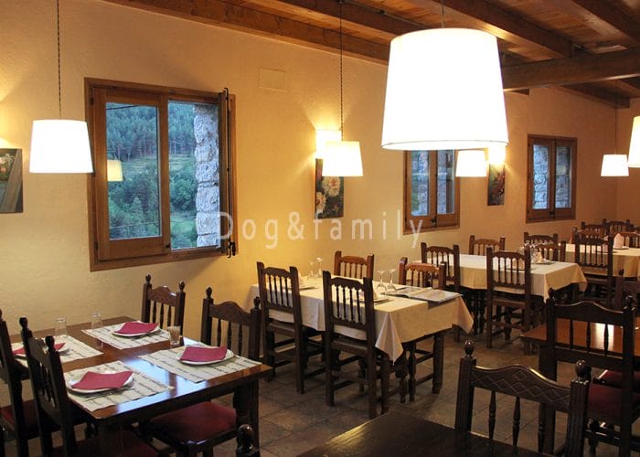 Dog and family a Ca la Maria